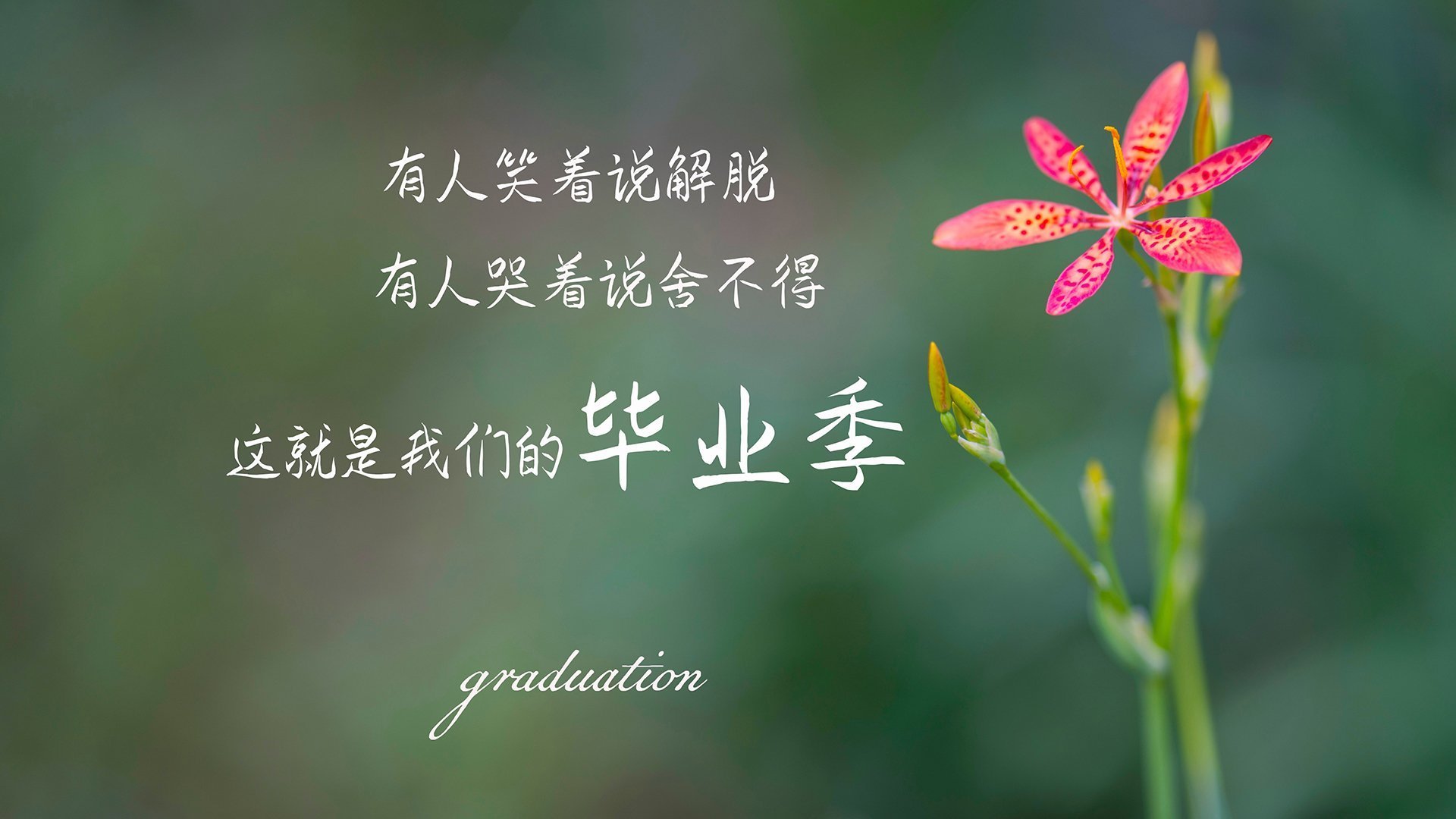 _未来体育数字化：虚拟运动场馆引领潮流_，虚拟运动会