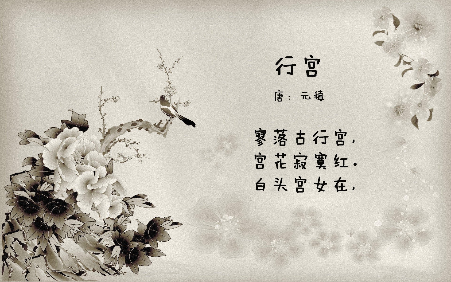 青年力量：青年球员带来的新风尚，何为青年力量