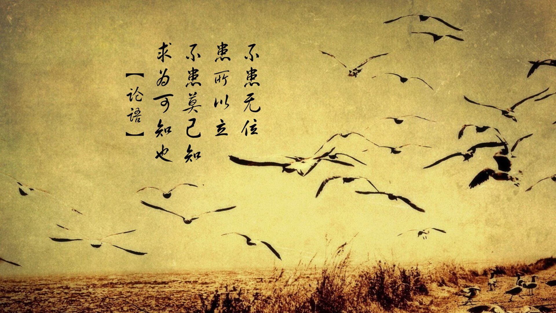 乐鱼电竞在线平台-贵州恒丰智诚队客场击败天津泰达队，贵州恒丰智诚球员名单