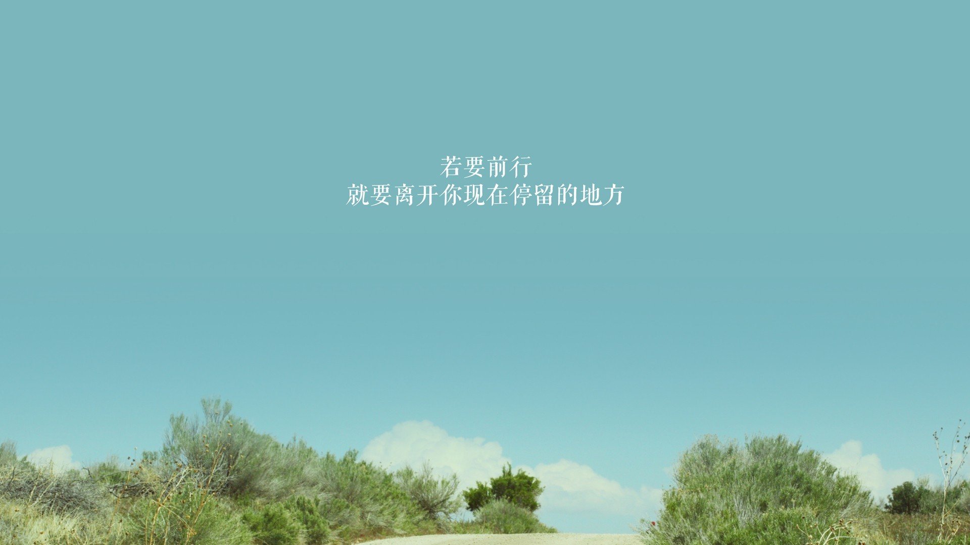 即将到来的世界橄榄球大赛，哪个队最具看点？，全球最盛大的橄榄球比赛
